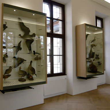 jagdmuseum schloss hohenbrunn